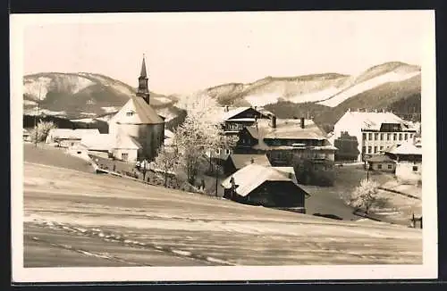 AK Puchenstuben, Ortsansicht im Schnee