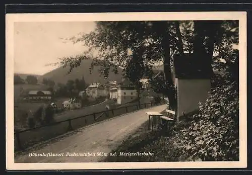 AK Puchenstuben a. d. Mariazellerbahn, Ortspartie