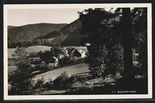 AK Puchenstuben, Blick von bewaldeter Anhöhe