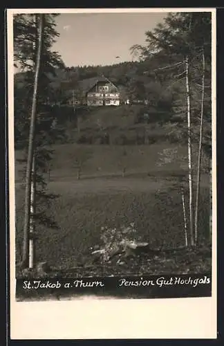 AK St. Jakob a. Thurn, Pension Gut Hochgols im Wald