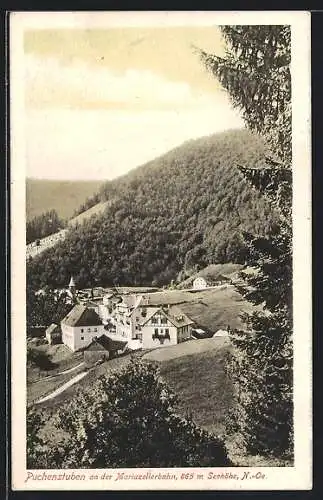 AK Puchenstuben /N.-Ö., Teilansicht vor bewaldeten Berghängen