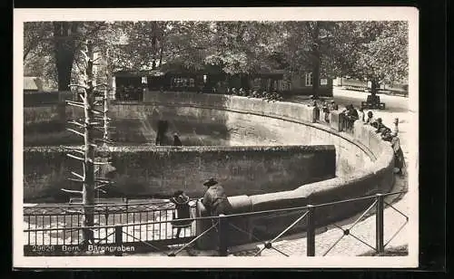AK Bern / Berne, Blick in den Bärengraben
