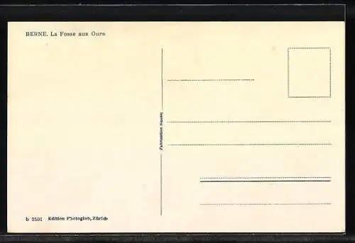 Künstler-AK Berne, La Fosse aux Ours