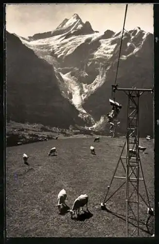 AK Grindelwald, Bergbahn Grindelwald-First mit Ob. Gletscher