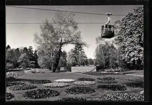 AK Zürich, I. Schweiz. Gartenbau-Ausstellung 1959, Linkes Ufer: Pensées-Parterre