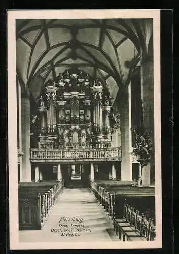 AK Merseburg, Innenansicht des Doms, Orgel