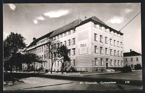 AK Wr. Neustadt, Gymnasium mit Strasse