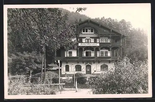 AK Puchberg a. Sch., Hotel Alpenhof