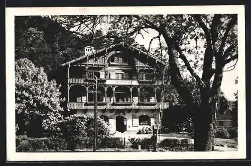 AK Puchberg a. Sch., Hotel Alpenhof mit Anlagen