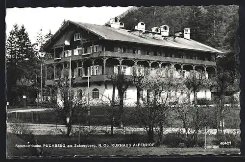 AK Puchberg am Schneeberg, Kurhaus Alpenhof mit Strasse