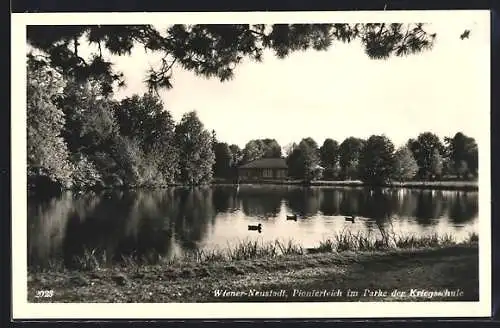 AK Wiener-Neustadt, Kriegsschule, Pionierteich im Park