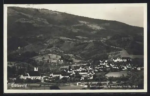 AK Eibiswald, Ortsansicht gegen die Berge