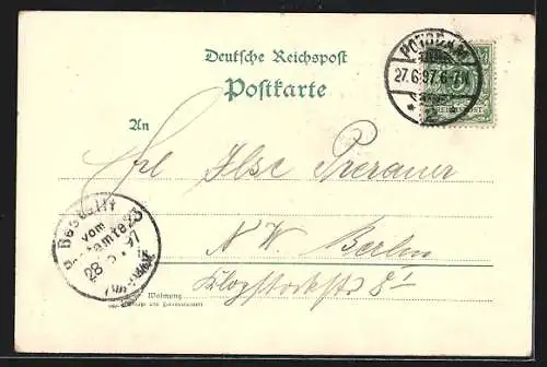 Lithographie Potsdam, Pfauen-Insel, Nikolsköe, Matrosen-Station, Segelboote, Vogel, Pfauenfedern