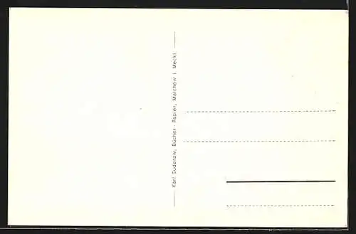 AK Malchow i. Meckl., Seepartie mit Blick zur Kirche