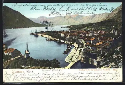 AK Kotor / Cattaro, Blick auf Hafen und Stadt