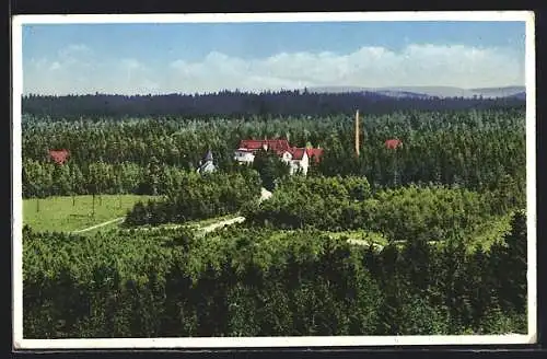 AK Albertsberg i. V., Die Heilstätte im Waldgebiet