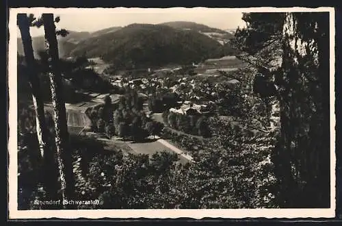AK Sitzendorf /Schwarzatal, Gesamtansicht vom Berg aus
