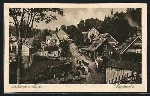 AK Schierke i. Harz, Dorfpartie mit einem Hirtenjungen und Rindern