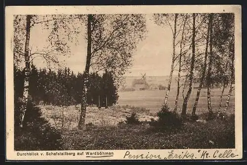 AK Wardböhmen, Durchblick v. Schafstallberg auf Wardböhmen
