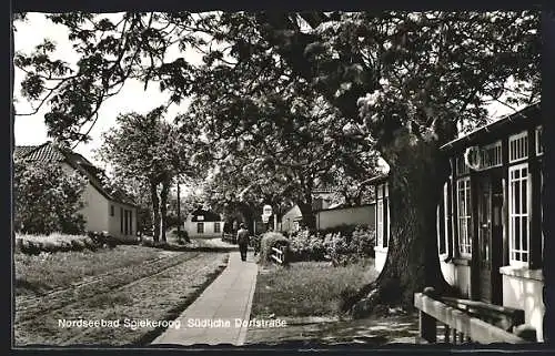 AK Spiekeroog /Nordsee, Südliche Dorfstrasse