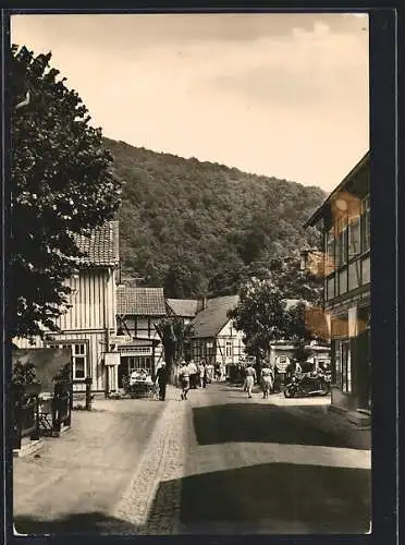 AK Treseburg /Harz, Strassenpartie mit Gasthaus
