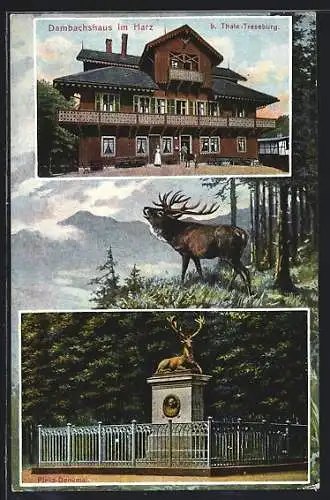 AK Thale-Treseburg, Gasthaus Dambachshaus, Hirsch-Denkmal
