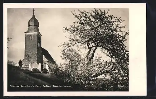 AK Leiben /N. Oe., Kirche und blühender Baum