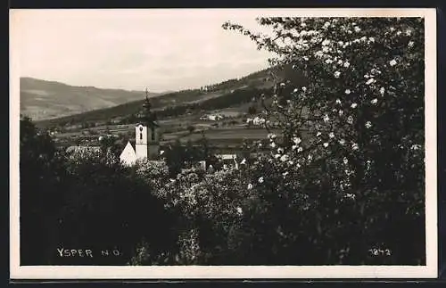 AK Ysper /N. Ö., Teilansicht mit Kirche und Fernblick