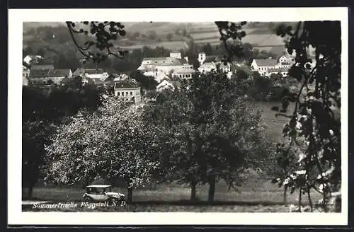 AK Pöggstall /N. D., Ortsansicht von einer Anhöhe aus