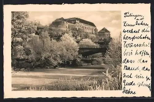 AK Tübingen a. N., Blick auf Burg und Flussbett im Schnee