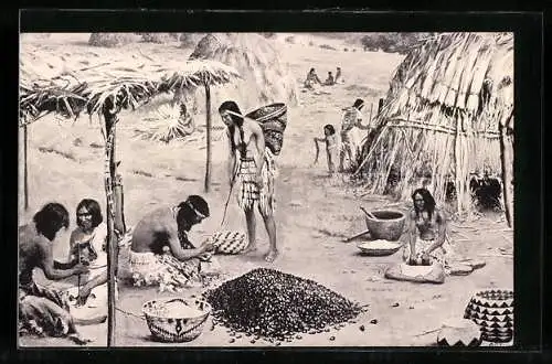 AK Indians of California making a acorn meal