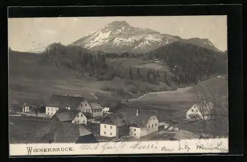 AK Wienerbruck, Ortsansicht mit Bergblick