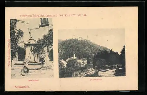 AK Seebenstein, Totalansicht, der Schlosshof