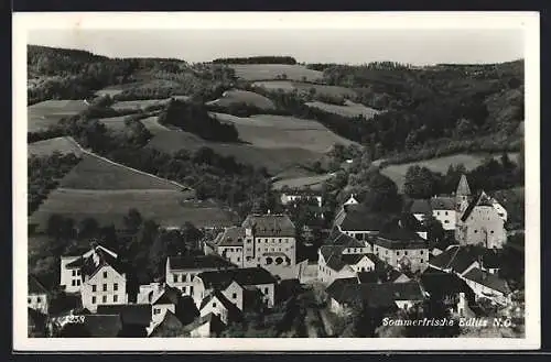AK Edlitz /N.Ö., Blick über den Ort auf das Umland