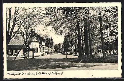 AK Auerberg / Harz, Ortspartie mit Wegweisern