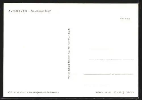 AK Altenburg / Thüringen, Am Kleinen Teich, Strassenpartie