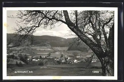 AK Altenmarkt /N. Ö., Gesamtansicht mit Umgebung und Bergpanorama