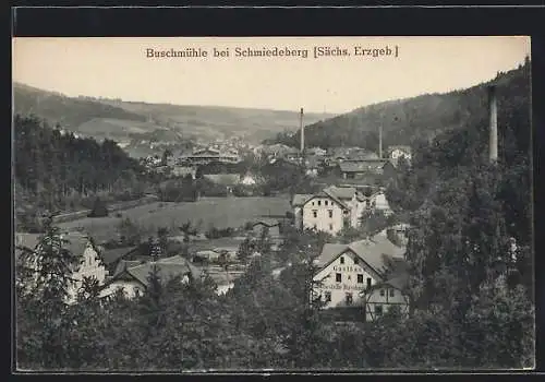 AK Schmiedeberg / Erzg., Teilansicht mit Gasthaus Buschmühle