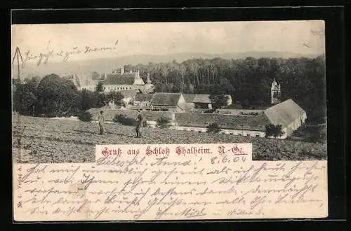 AK Kapelln an der Perschling, Blick über Wiese zum Schloss Thalheim