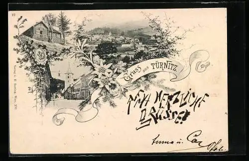 AK Türnitz /Nied. Oest., Strassenpartie mit Kirche, Ortsansicht aus der Vogelschau