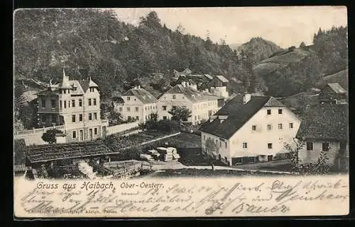 AK Haibach, Strassenpartie mit Warenhandlung