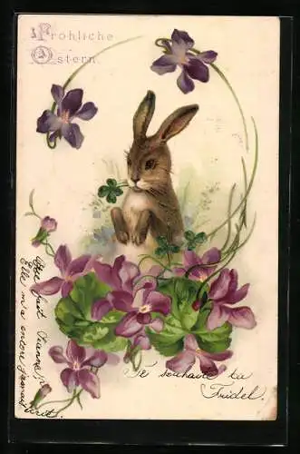 AK Ostern, Hase macht Männchen, violette Blumen