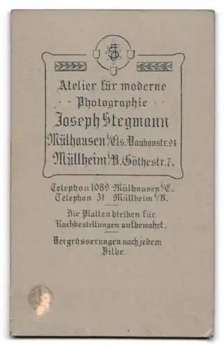 Fotografie Jos. Stegmann, Mülhausen i. Els., Soldat in Musiker Uniform Rgt. 142 mit Schwalbennest, Passepartout