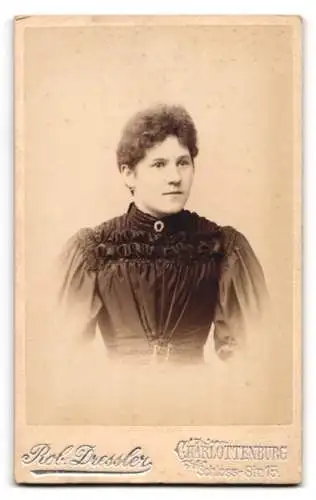 Fotografie R. Dressler, Berlin-Charlottenburg, Schloss Charlottenburg, Portrait Brünette Dame im Sonntagskleid