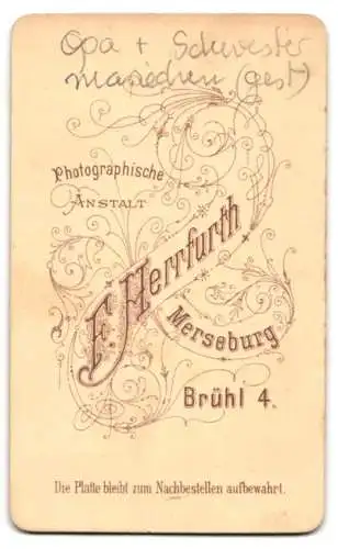 Fotografie F. Herrfurth, Merseburg, Brühl 4, Mädchen Mariechen nebst Knabe auf Sessel sitzend