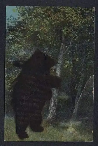 AK Ein Bär aus Kunstfell am Waldrand