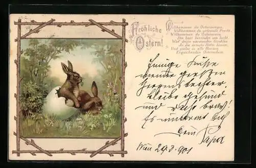 Künstler-AK Osterhasen brechen im Wald aus einem Ei