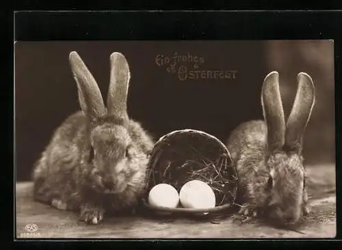 AK Zwei Osterhasen nebst ihren Eiern