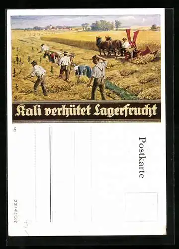 AK Reklame Kali-Dünger, Kali verhütet Lagerfrucht