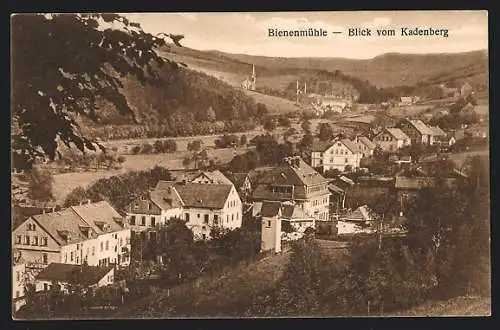 AK Bienenmühle /Rechenberg, Blick vom Kadenberg